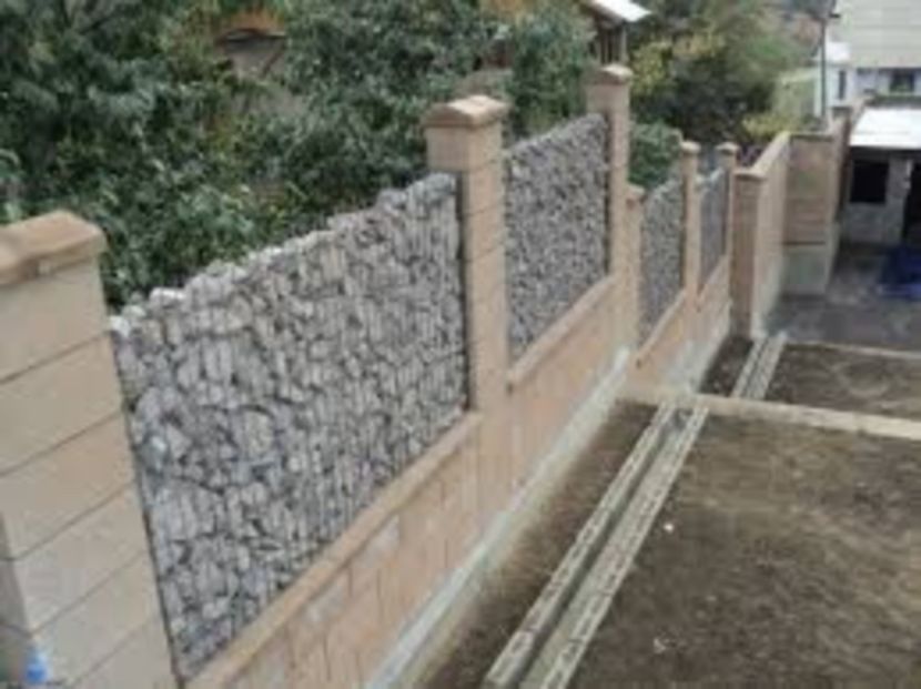 descărcare (2) - Pfoto net id