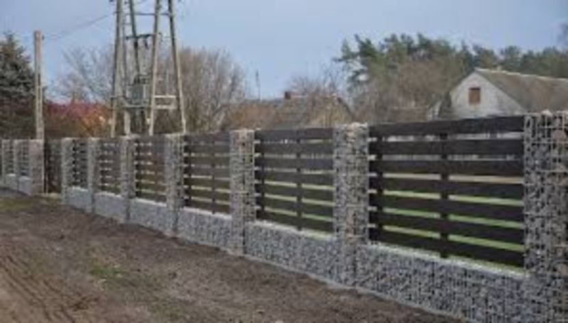 images (23) - Pfoto net id