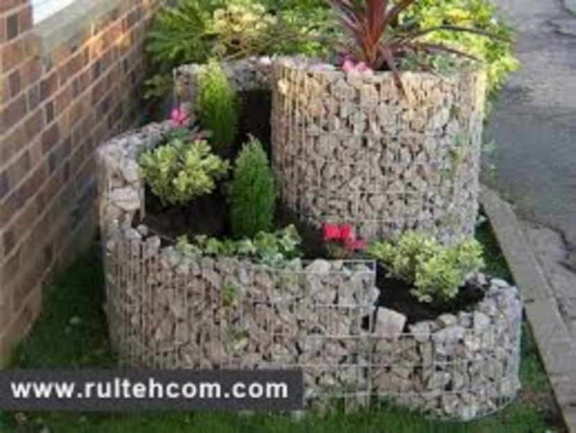 images (24) - Pfoto net id