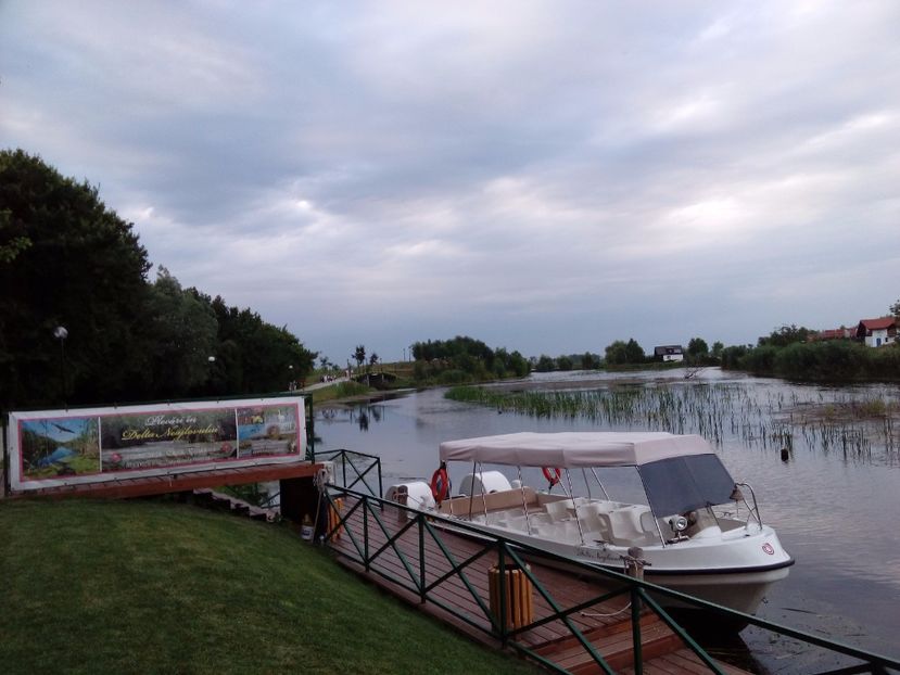  - AAAA__COMANA_GIURGIU 2017