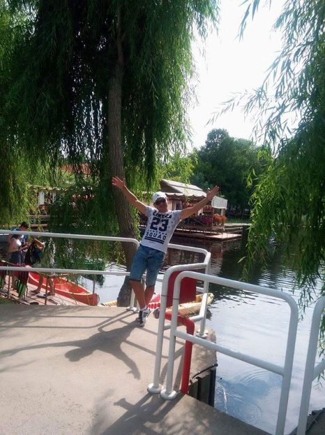  - AAAA__COMANA_GIURGIU 2017