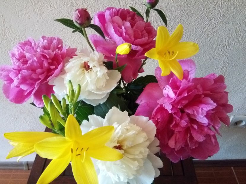  - A FLORI DIN GRADINA MEA