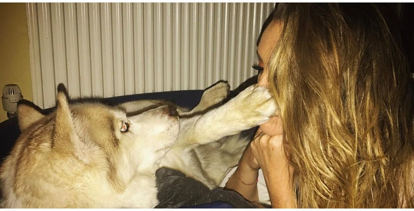 17.i͟͟͞͞u͟͟͞͞l͟͟͞͞i͟͞e͟͞.2017 - private show