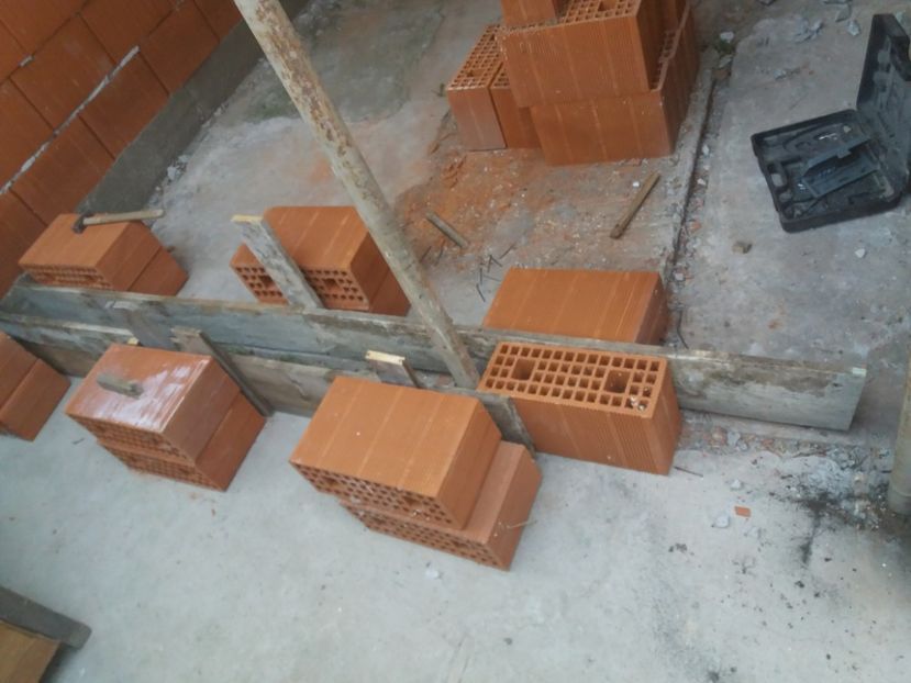  - VOLIERA MEA MODESTA