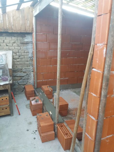  - VOLIERA MEA MODESTA