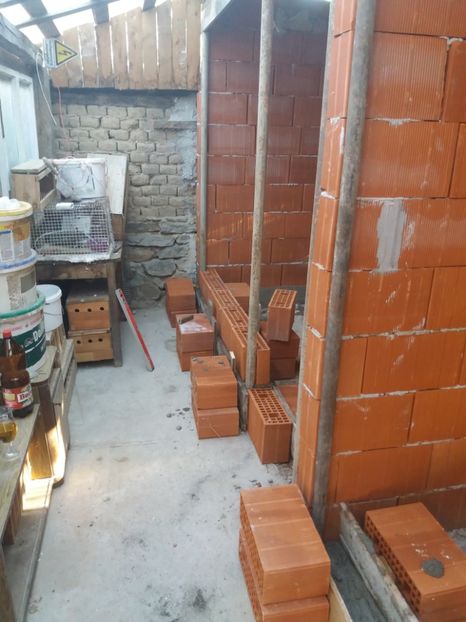  - VOLIERA MEA MODESTA