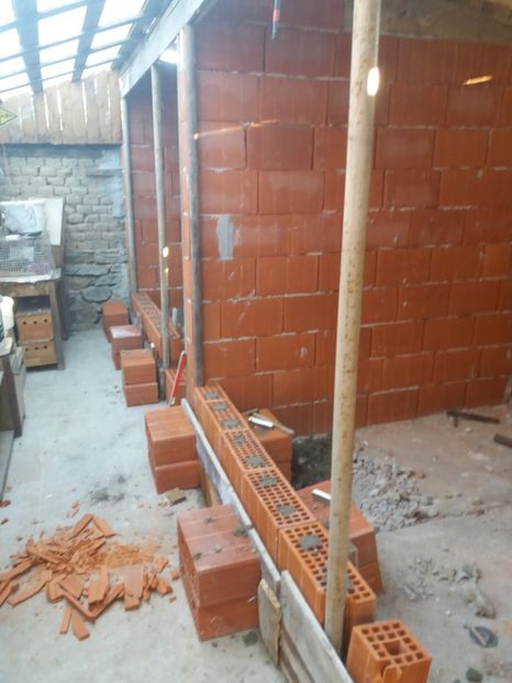  - VOLIERA MEA MODESTA