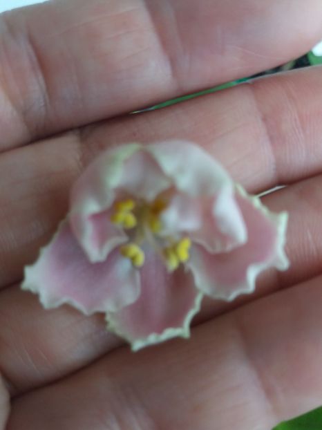 18 iulie - ZZ RS Utonchennyi Vkus -RS Refined Taste