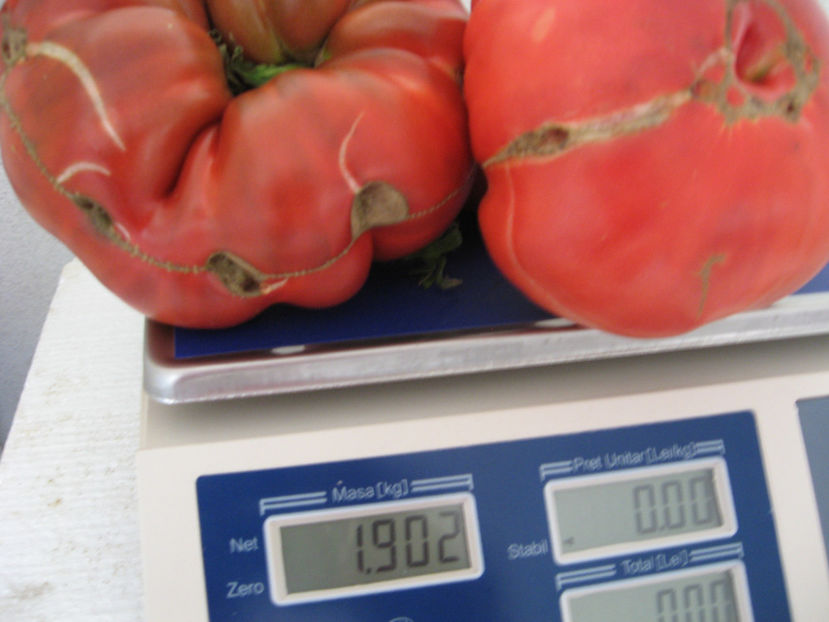  - IMAGINI 15 IULIE 2017 URIASE DE PLOPU