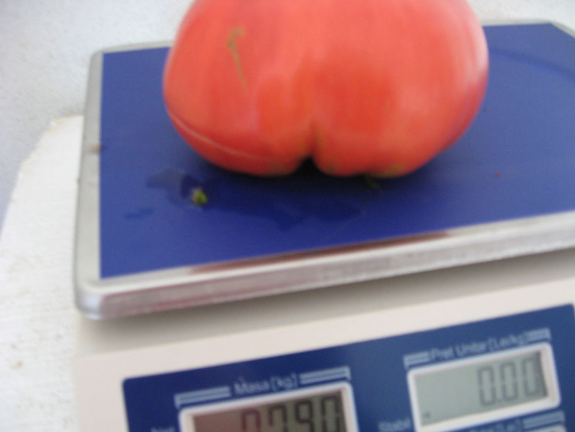  - IMAGINI 15 IULIE 2017 URIASE DE PLOPU