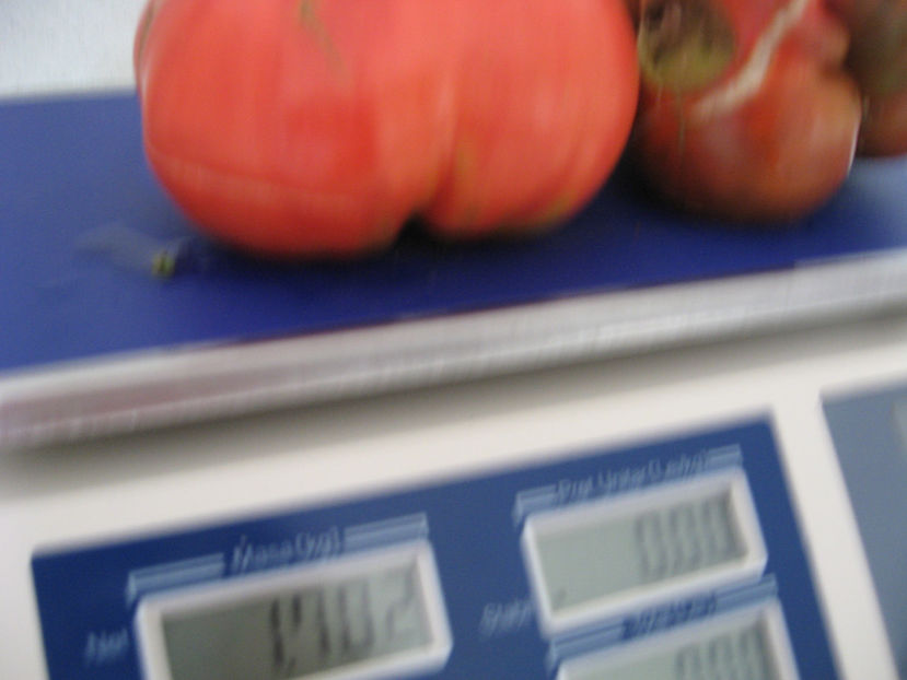  - IMAGINI 15 IULIE 2017 URIASE DE PLOPU