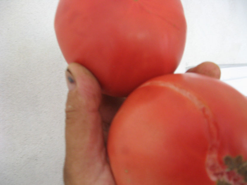  - IMAGINI 15 IULIE 2017 URIASE DE PLOPU