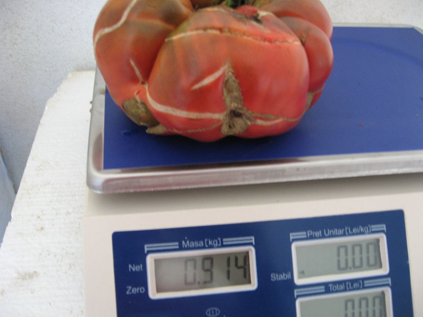  - IMAGINI 15 IULIE 2017 URIASE DE PLOPU