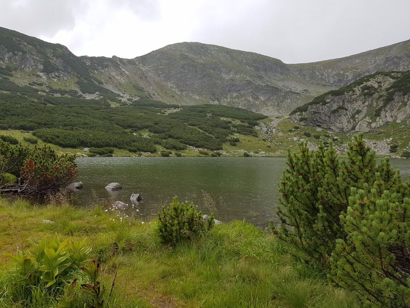 Lacul Calcescu - Frumuseti in M-tii Parang 2017