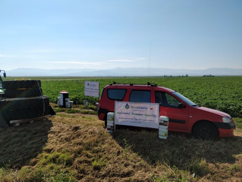  - Ziua Cartofului Solana 2017