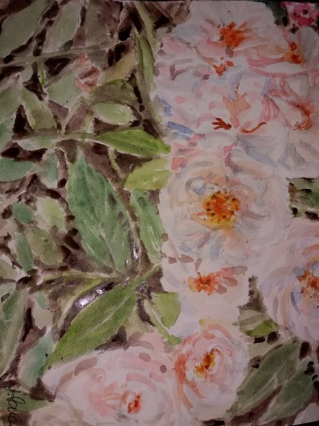  - Trandafiri si alte flori in acuarela