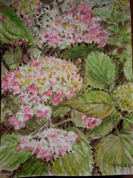  - Trandafiri si alte flori in acuarela