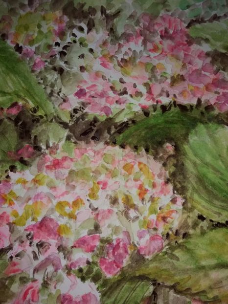  - Trandafiri si alte flori in acuarela