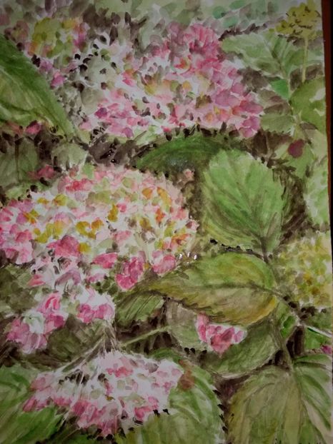  - Trandafiri si alte flori in acuarela