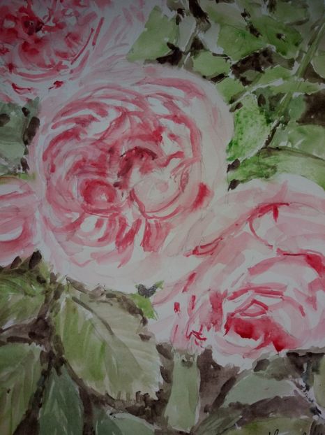  - Trandafiri si alte flori in acuarela