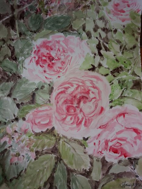  - Trandafiri si alte flori in acuarela