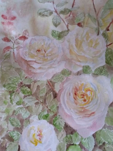  - Trandafiri si alte flori in acuarela