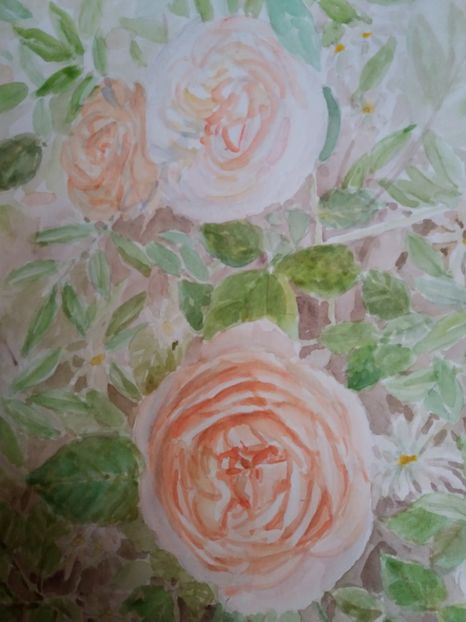  - Trandafiri si alte flori in acuarela