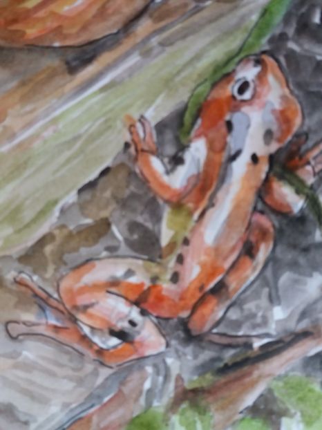  - Picturi in acuarela