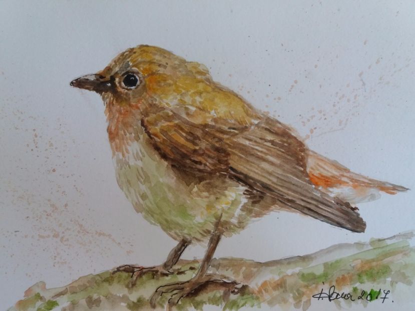  - Picturi in acuarela