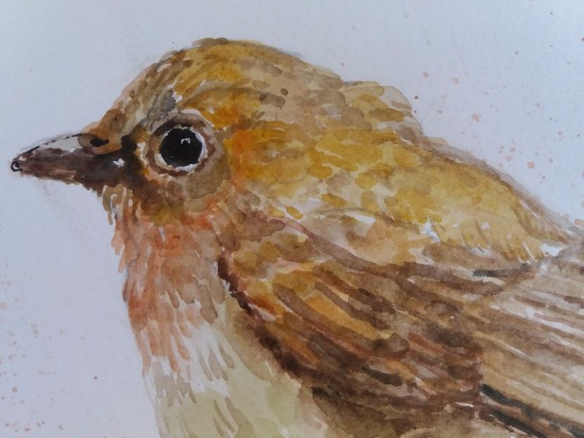  - Picturi in acuarela