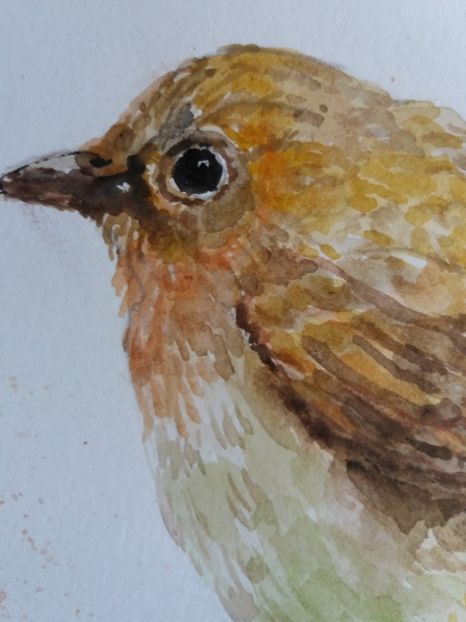  - Picturi in acuarela