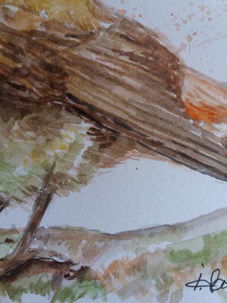  - Picturi in acuarela