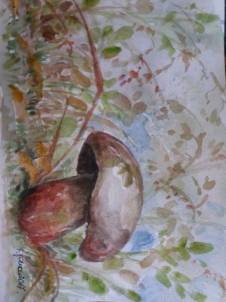  - Picturi in acuarela