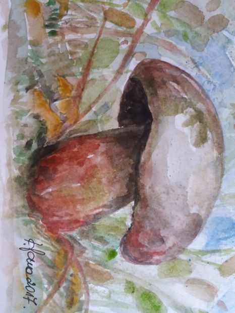  - Picturi in acuarela