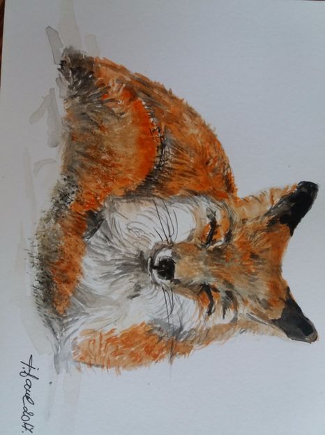  - Picturi in acuarela