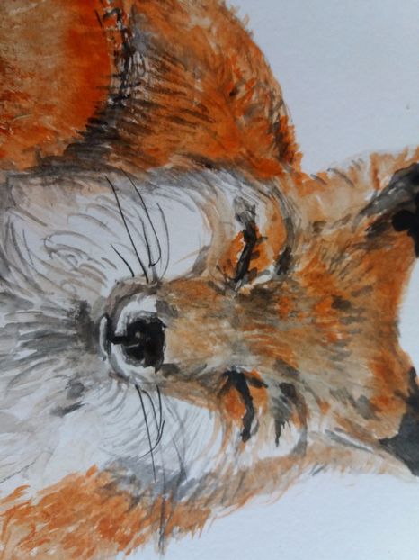  - Picturi in acuarela