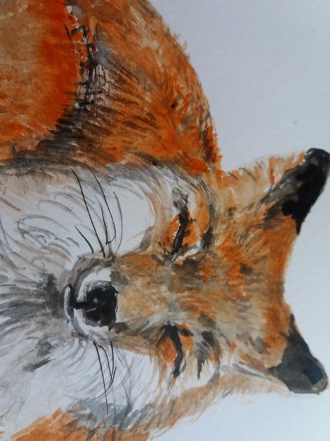  - Picturi in acuarela