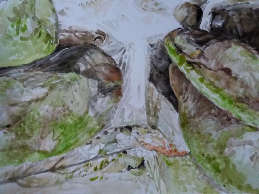  - Picturi in acuarela