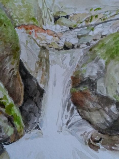  - Picturi in acuarela