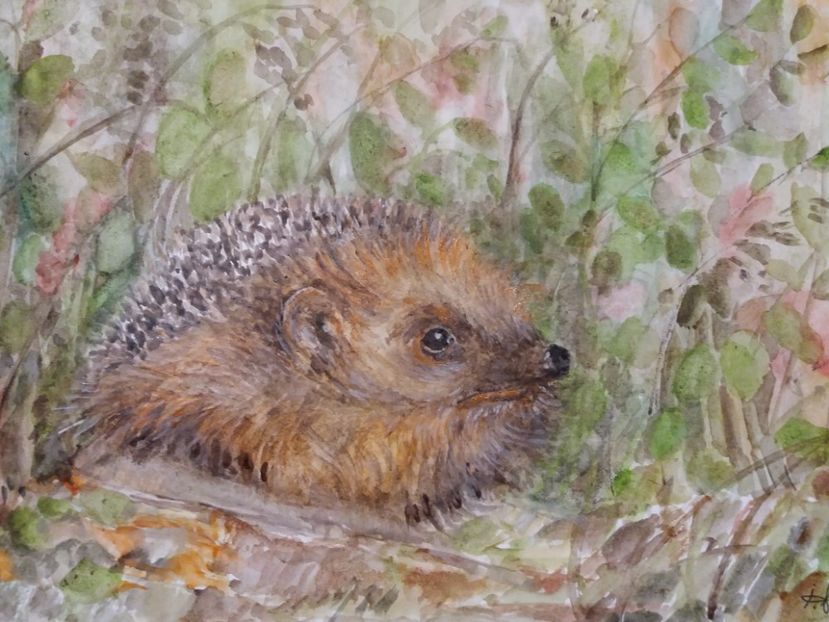  - Picturi in acuarela