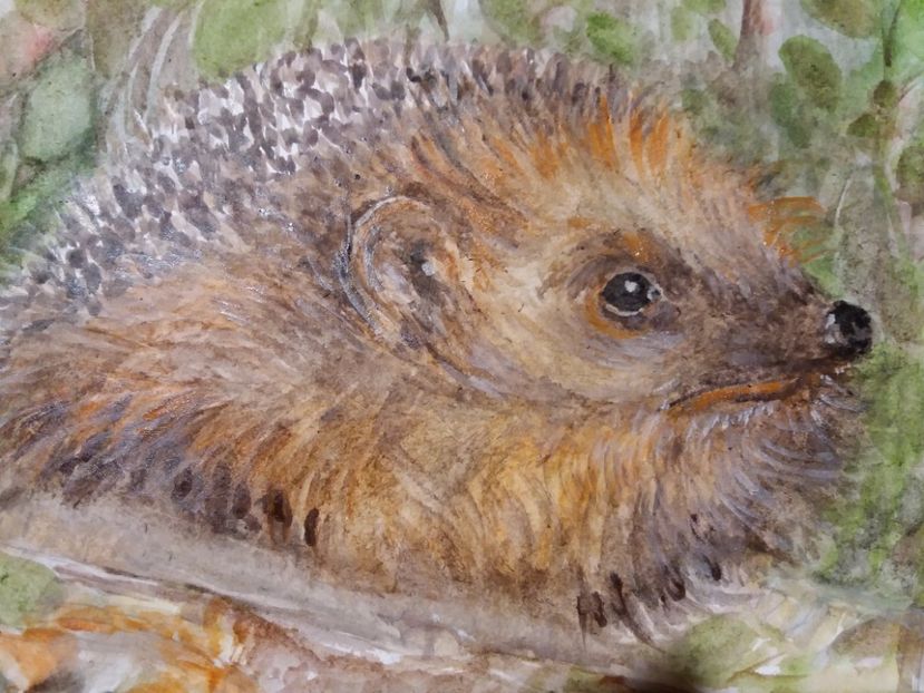  - Picturi in acuarela