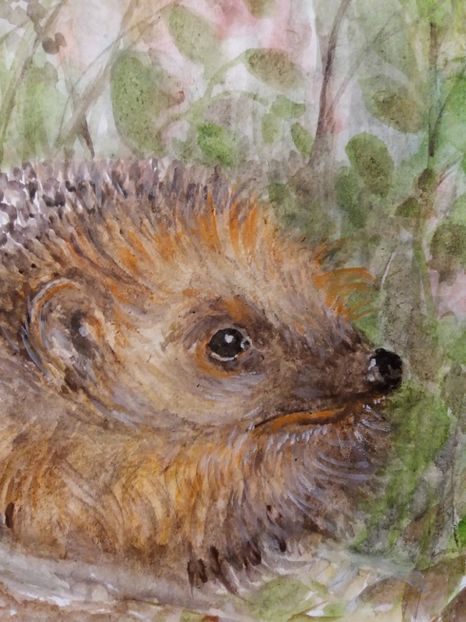  - Picturi in acuarela