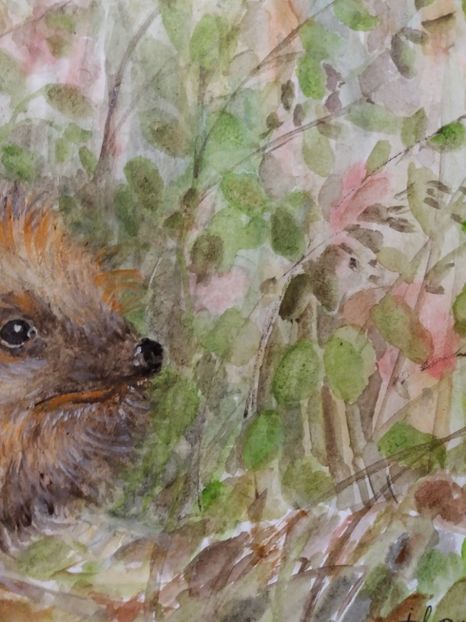  - Picturi in acuarela