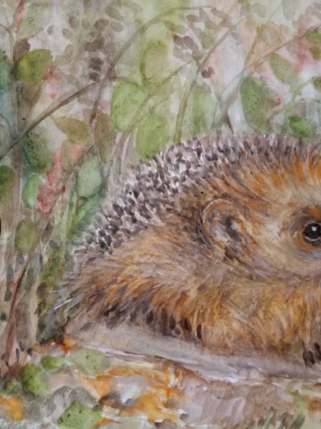  - Picturi in acuarela