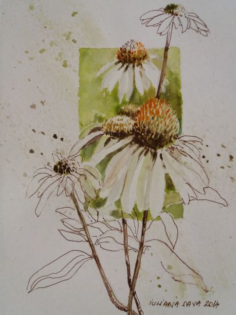  - Picturi in acuarela