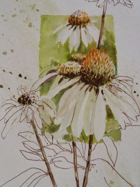  - Picturi in acuarela