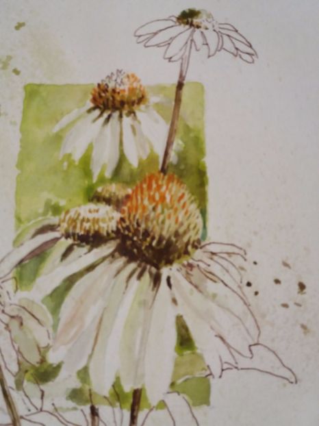  - Picturi in acuarela