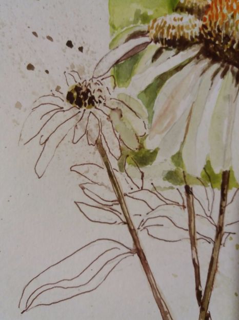  - Picturi in acuarela