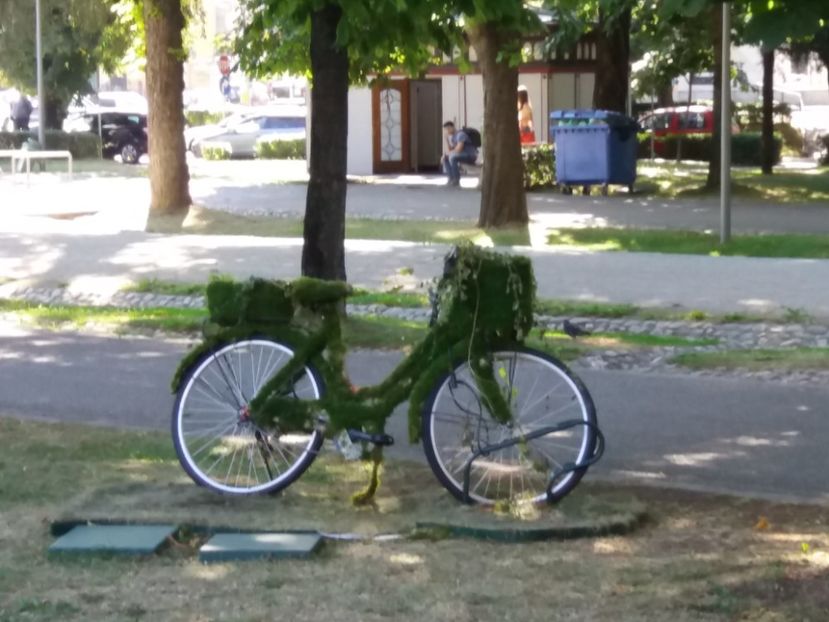  - Cluj 2017