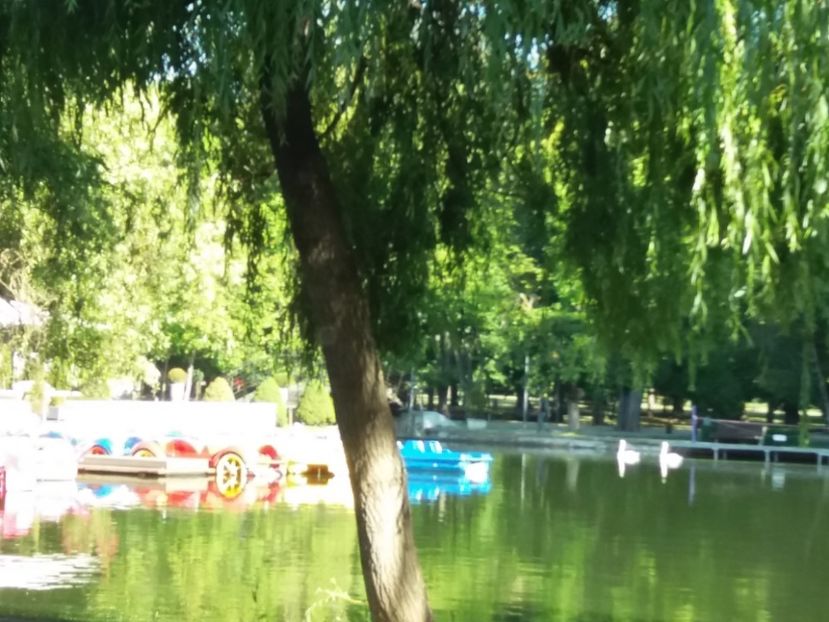  - Cluj 2017